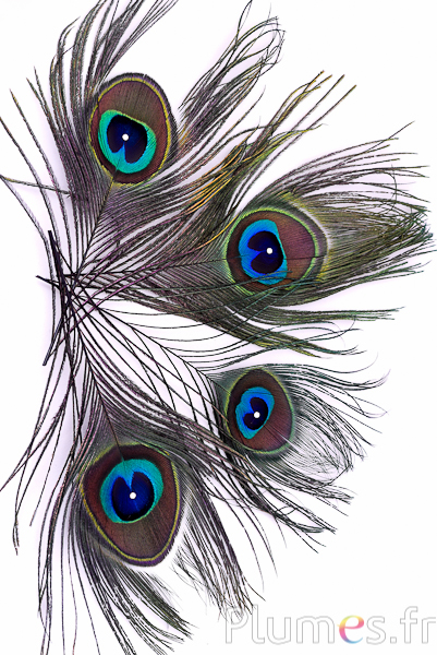 Pauw blauw met strass - 15-20 cm - naturel